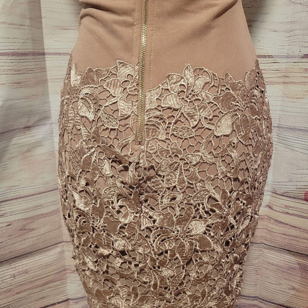 Elegant Lace Overlay Dress - Picture 7 of 11
